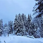 Chalet In With Sauna And Hot Tub Hohentauern