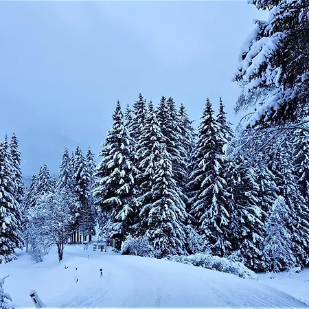 Chalé In With Sauna And Hot Tub Hohentauern