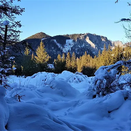 In With Sauna And Hot Tub Hohentauern