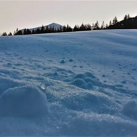 Chalé In With Sauna And Hot Tub *