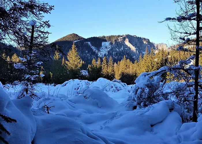 In With Sauna And Hot Tub Hohentauern